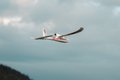 Miniatyrbilde 5 av 10: FMS Easy Trainer 1280  Børsteløs PNP