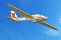 Miniatyrbild 3 av 10: FMS Fox Glider 3000mm PNP