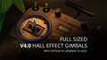 Miniatyrbilde 10 av 10: Radiomaster Boxer 16ch 4in1 LBT