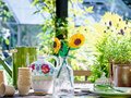 Miniatyrbilde 3 av 3: LEGO Botanical Collection Solsikker