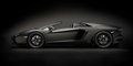 Miniatyrbillede 3 af 5: Pocher Lamborghini Aventador LP700-4 - 1:8