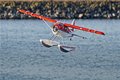 Miniatyrbillede 5 af 10: FMS Beaver V2 2000mm PNP
