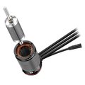 Miniatyrbilde 3 av 3: Hobbywing XeRun AXE R3 FOC - 2000KV Crawler Motor