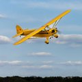 Miniatyrbilde 9 av 10: Hangar 9 J-3 Cub 2.1m EP ARF