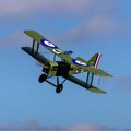 Miniatyrbillede 5 af 10: E-Flite SE5a 900mm PNP