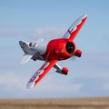 Miniatyrbillede 6 af 10: E-Flite Gee Bee R-2 1m BNF med AS3X+ &amp; SAFE