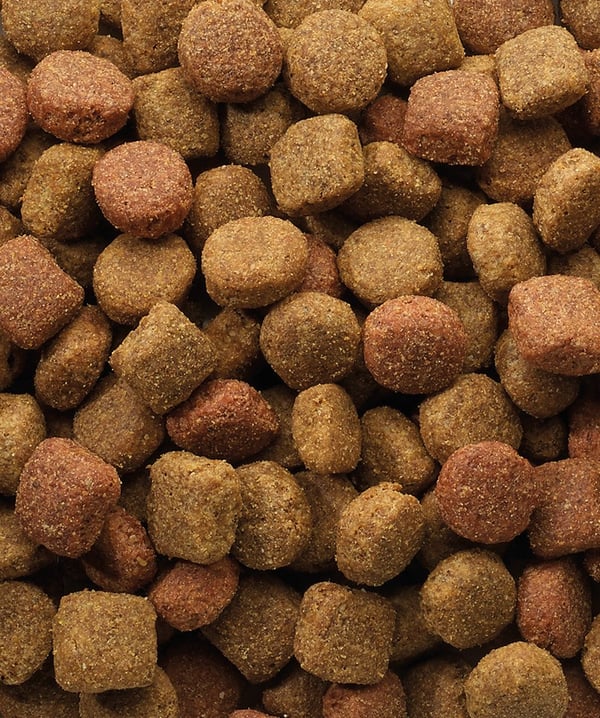 VERSELE-LAGA Classic Duo Krok - torrfoder för hundar - 20 kg