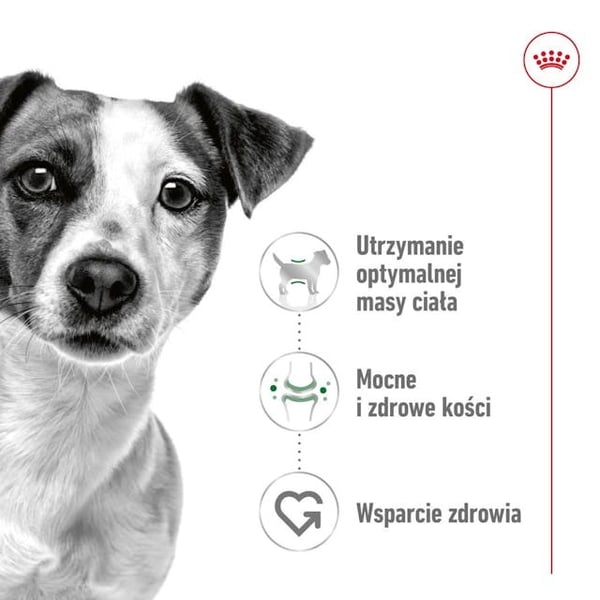 ROYAL CANIN Adult Mini S - torrfoder för hundar - 2 kg