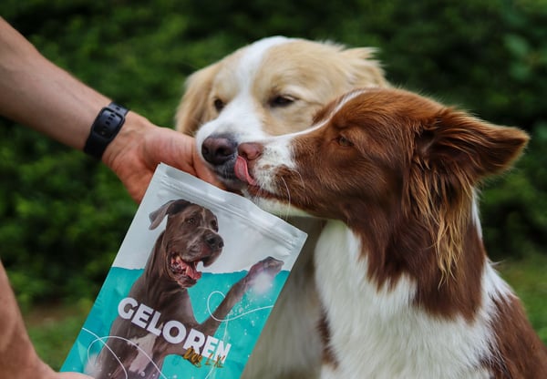 GELOREN Leder för stora hundar - hundvitaminer - 420 g