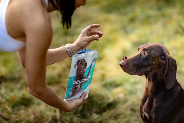GELOREN Leder för stora hundar - hundvitaminer - 420 g