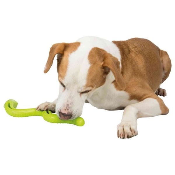 TRIXIE Snack-Snake - Hundleksak - 27 cm