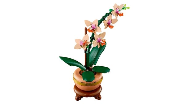 LEGO BOTANICALS 10343 Pieni orkidea