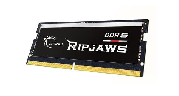 G.Skill Ripjaws F5-4800S4039A32GX1-RS hukommelsesmodul 32 GB 1 x 32 GB DDR5 4800 MHz