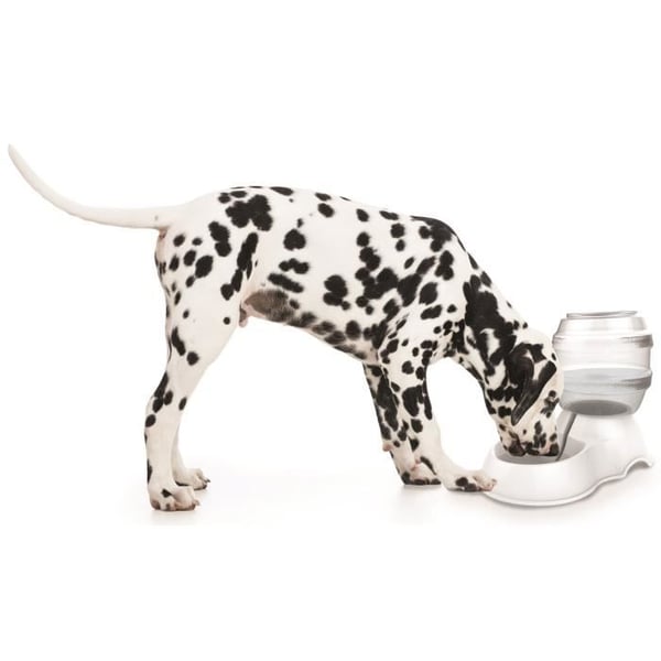 M-PETS Vattendispenser i cylinderformat - 3500ml - Vit - För hundar
