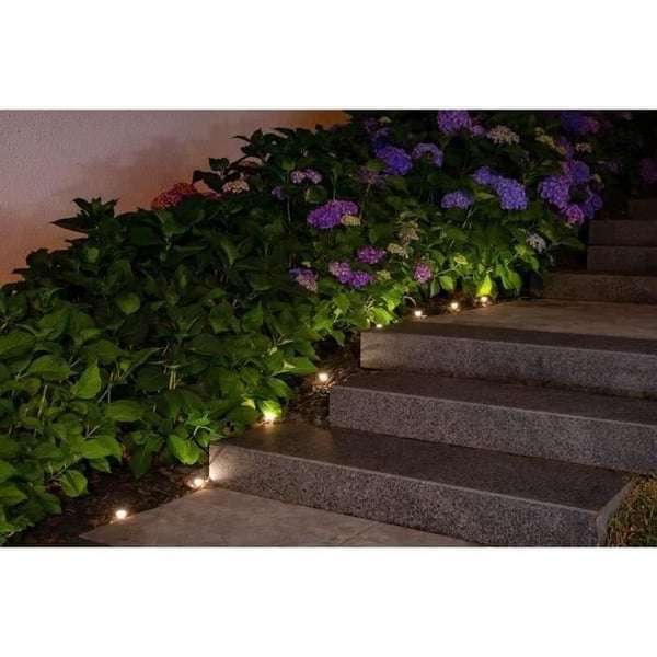 Solcelle-guirlande til plante 10 hvide LED'er - GALIX - 5m - 0,5W - 100 Lumen - 8 timers lysstyrke