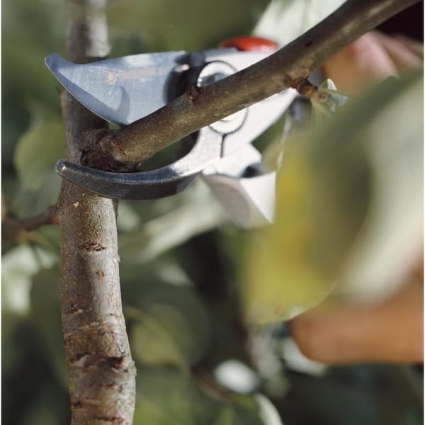 GARDENA BP 50 Premium Beskæresaks - Ø24 mm maks. - Lige klinger i rustfrit stål - Ergonomisk håndtag - 25 års garanti