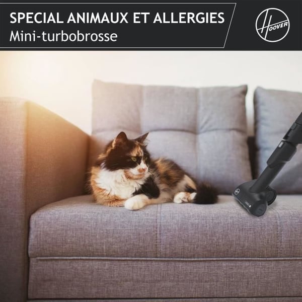 Støvsuger med pose - HOOVER - HE530ALG - 700 W - 4 L - 65 dBA - Speciel til dyr og allergier