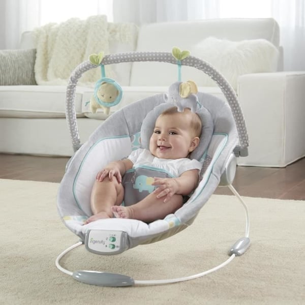 INGENUITY Morrison Baby Bouncer - Kaari irrotettavilla kehitysleluilla. 8 melodiaa. Rauhoittavat värinät. Irrotettava ja säädettävä niskatuki.