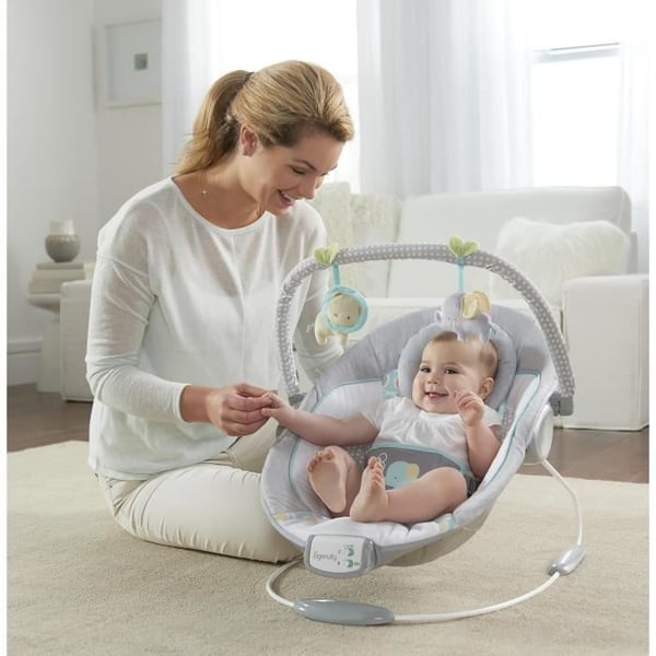 INGENUITY Morrison Baby Bouncer - Kaari irrotettavilla kehitysleluilla. 8 melodiaa. Rauhoittavat värinät. Irrotettava ja säädettävä niskatuki.