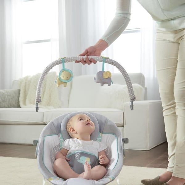 INGENUITY Morrison Baby Bouncer - Kaari irrotettavilla kehitysleluilla. 8 melodiaa. Rauhoittavat värinät. Irrotettava ja säädettävä niskatuki.