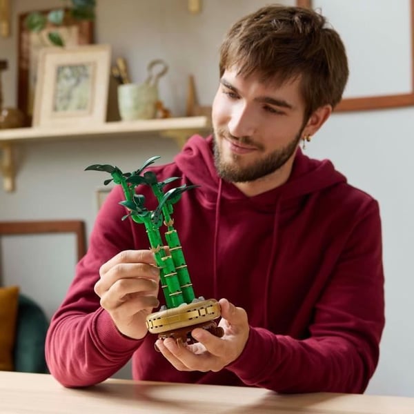 LEGO Botany 10344 Onnenbambu - Tekokasvi ja kodinsisustus