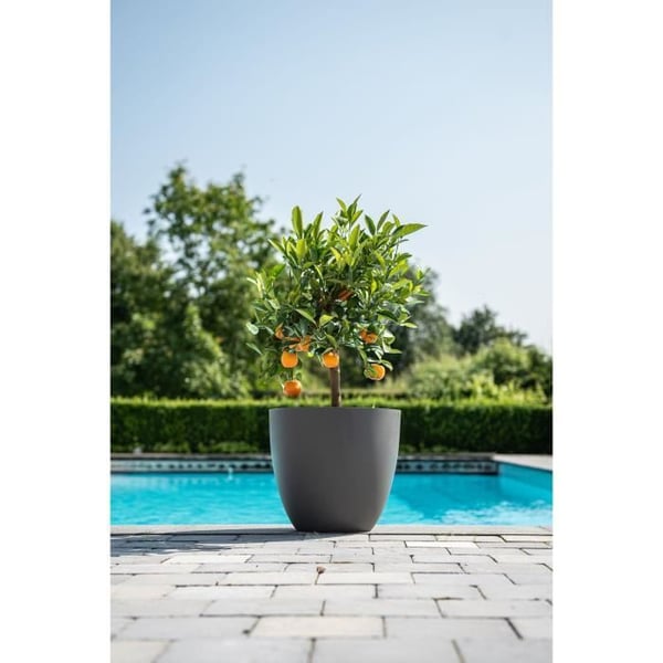Kukkaruukku - GARDEN ID - Phoenix antrasiitti - 48 x 42 cm - 100 % kierrätetty ja kierrätettävä - pakkasen- ja UV-kestävä - ulkokäyttöön