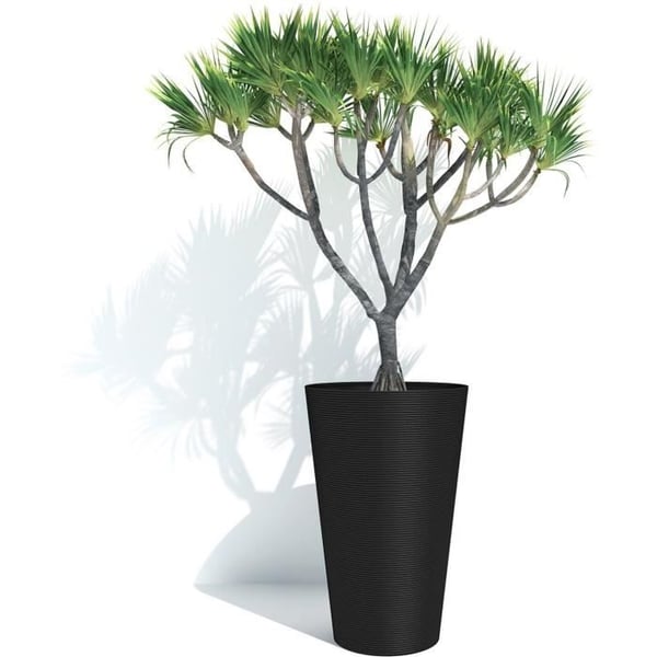 Høj urtepotte - GARDEN ID - Green Care Sense Høj Sort-Antr. - 55 cm - 10 års garanti - 100% genanvendt - UV- og frostbestandig