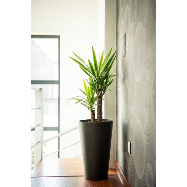 Høj urtepotte - GARDEN ID - Green Care Sense Høj Sort-Antr. - 55 cm - 10 års garanti - 100% genanvendt - UV- og frostbestandig