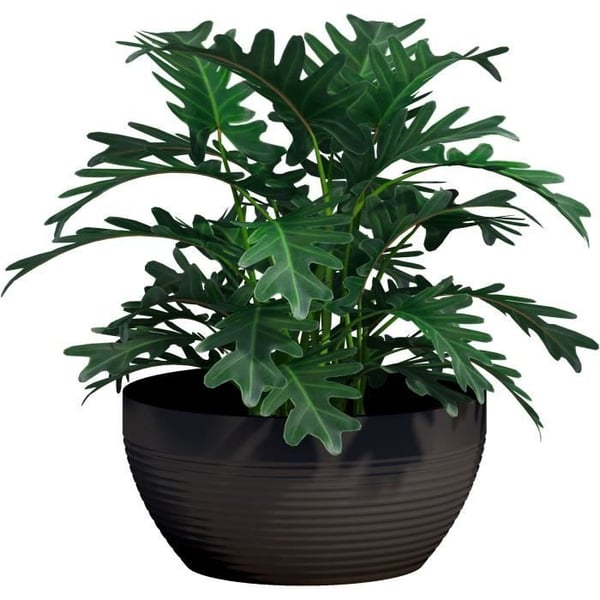 Kop - GARDEN ID - Green Care Impact Sort-Ant - 25 x 12 cm - 10 års garanti - 100% genanvendt - UV/frostbestandig