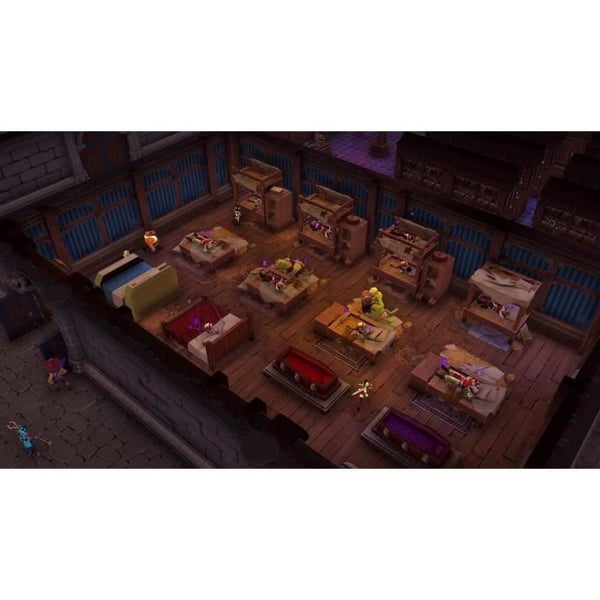 The Dungeon Master of Naheulbeuk - Nintendo Switch-spel - Begränsad upplaga