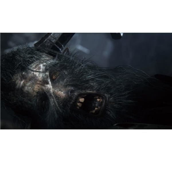 Bloodborne PlayStation Hits PS4 -peli