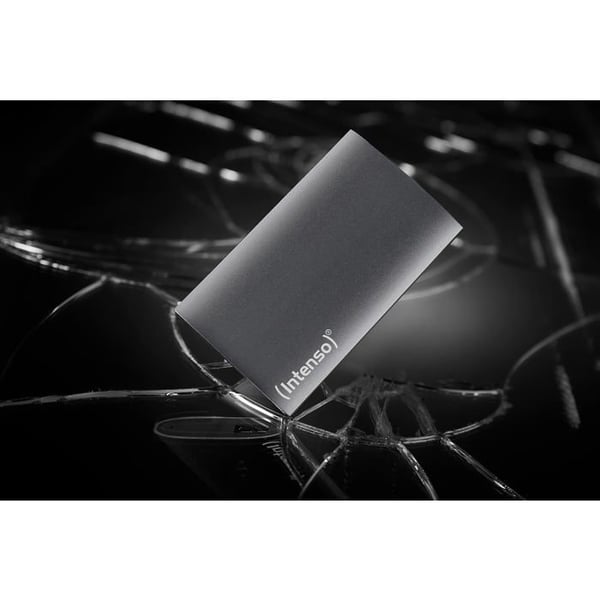 Ekstern SSD-harddisk - INTENSO - PREMIUM - 1 TB - Grå
