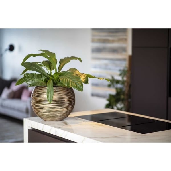 Kulvas - CAPI EUROPE - RIB NL - 40 x 32 cm - Svart / Guld