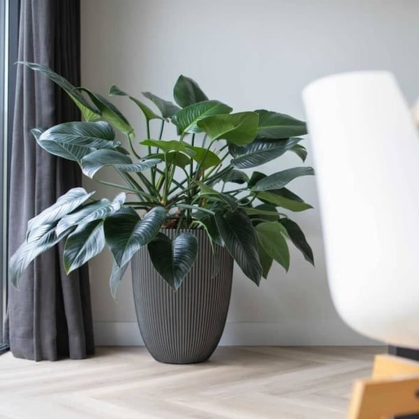 CAPI EUROPE - Elegant GROOVE-vas - 46x58 cm - Antracit - 100 % återvinningsbar