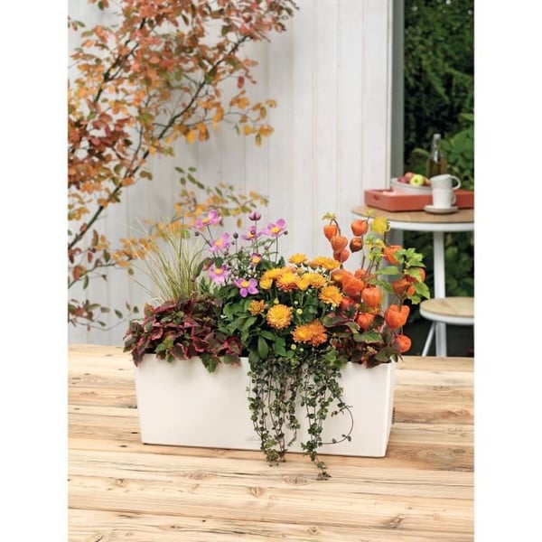 LECHUZA Jardiniere Balconera Color 50 ALL-IN-ONE valkoinen 15670