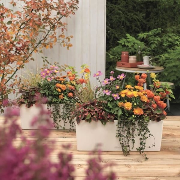 LECHUZA Jardiniere Balconera Color 50 ALL-IN-ONE valkoinen 15670