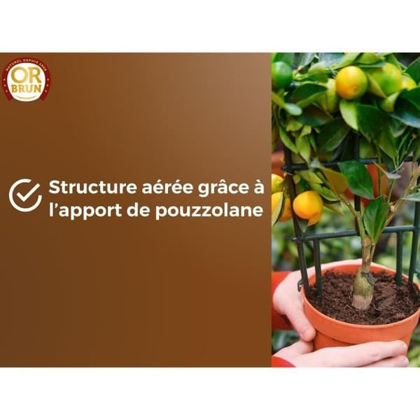 Sitrus- ja Välimeren kasvimulta - RUSKEA KULTA - OBRTAGR6U - 6L - Oliivipuut, palmut ja käpypuut