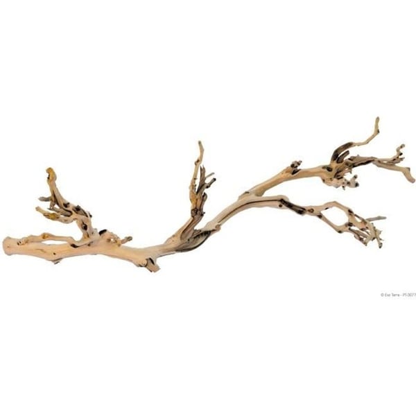 EXO TERRA Dekoration Sandblæst Slyng - Stor model - Til terrarium EXO TERRA Dekoration Sandblæst Slyng - Stor model - Til terrarium