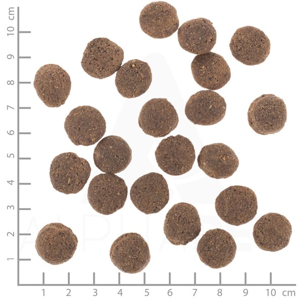 Wolfsblut VetLine Hypoallergeniskt 2 kg Vuxen Häst