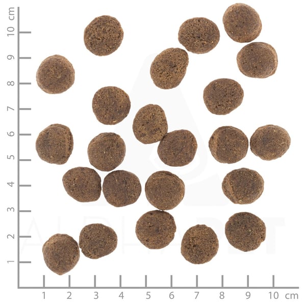 Wolfsblut VetLine Gastrointestinal 12 kg Adult Ankka. Bataatti