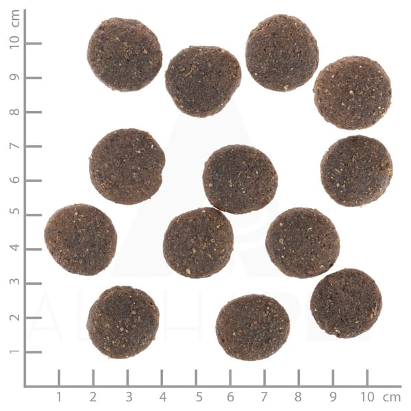 Wolfsblut wb784684 torrfoder för hundar 12,5 kg vuxen brunt ris. Lamm