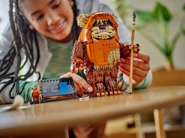 LEGO STAR WARS 75430 Ewokin portti