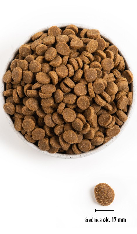 ACANA Adult Large Breed 11,4 kg