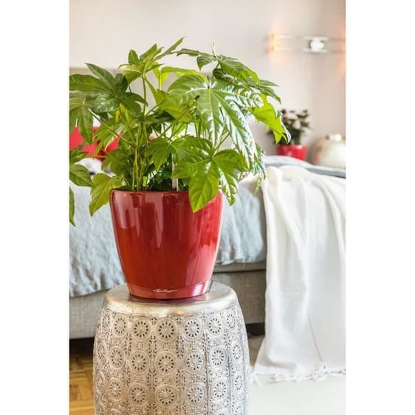 LECHUZA-kukkaruukku - Classico Premium LS 21 - ? 22 x 20 cm - 3 L - Täydellinen setti - Itsekastelu - Kirkkaan tulipunainen