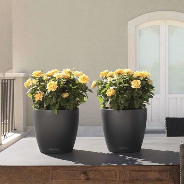 LECHUZA Kukkaruukku Classico Color 28 ALL-IN-ONE - ? 27,5 x 26 cm - Liuskekivi 13204