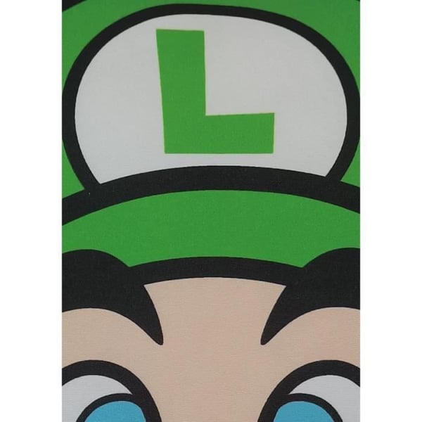Dubbelsidig kudde - Fyrkantig - MARIO BROS - Mario och Luigi - Mikrofiber - 40 x 40 cm