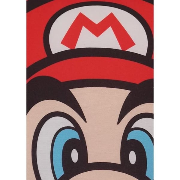 Dubbelsidig kudde - Fyrkantig - MARIO BROS - Mario och Luigi - Mikrofiber - 40 x 40 cm