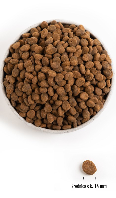 ORIJEN Regional Red 2kg