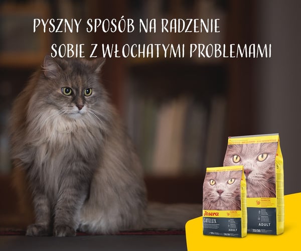 Josera Catelux torrfoder för katter 2 kg Vuxen anka. Fjäderfä