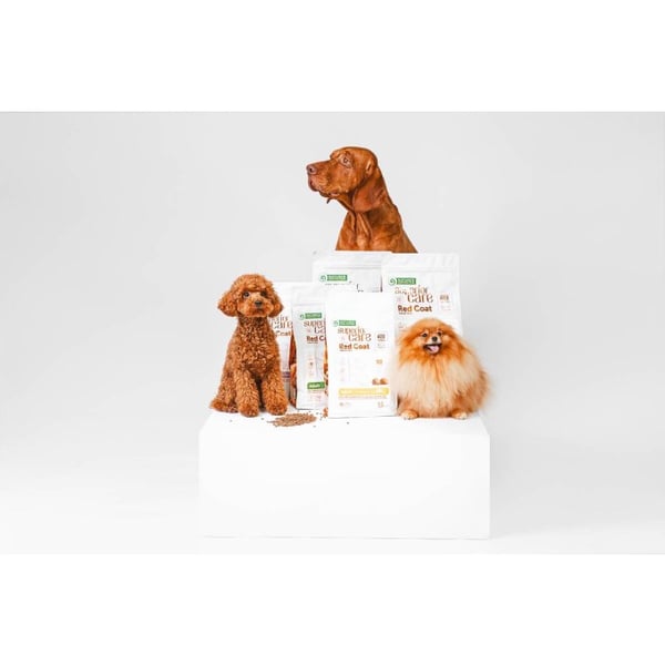 NATURE'S PROTECTION Superior Care Red Coat Adult små raser Spannmålsfri lax - torrfoder för hundar - 10 kg